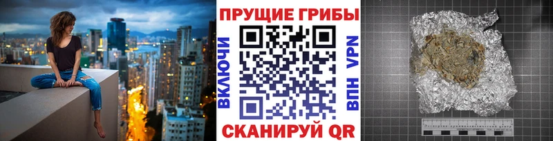 кракен рабочий сайт Багратионовск Псилоцибиновые грибы GOLDEN TEACHER